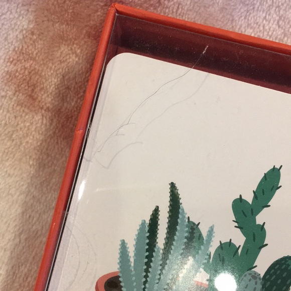 Potted Plants Succulents Cactus Thank You Note Boxed Set 12 notes 4 designs NWT - Picture 3 of 16